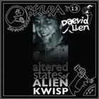 輸入盤 DAEVID ALLEN / SFO SOUNDTRIBE 2 