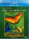 Blu-ray発売日2016/4/20詳しい納期他、ご注文時はご利用案内・返品のページをご確認くださいジャンル洋画ドキュメンタリー　監督ルイ・シュワルツバーグ出演収録時間80分組枚数2商品説明ディズニーネイチャー／花粉がつなぐ地球のいのち ブルーレイ＋DVDセットウォルト・ディズニーの遺志を受け継ぐドキュメンタリーシリーズから、食物連鎖の中でも下層にいる、弱く、しかし地球の生命を維持するには必要な蝶、蜂、コウモリにフォーカスしたドキュメンタリーを収録。感動と美しさ、そして不思議がいっぱいの素晴らしいストーリーを、花の視点から描いた作品。封入特典DVD（本編）関連商品ディズニーネイチャーシリーズ商品スペック 種別 Blu-ray JAN 4959241762023 カラー カラー 製作年 2013 製作国 アメリカ 字幕 日本語 英語 音声 英語（5.1ch）　日本語DD（ステレオ）　　 販売元 ウォルト・ディズニー・ジャパン登録日2015/12/11