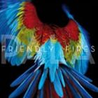 輸入盤 FRIENDLY FIRES / PALA [CD]