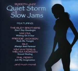 輸入盤 VARIOUS / QUIET STORM SLOW JAMS [CD]