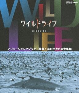 ワイルドライフ アリューシャンマジック 驚異!海の生きもの大集結 [Blu-ray]