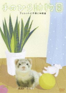 DVD発売日2007/5/23詳しい納期他、ご注文時はご利用案内・返品のページをご確認くださいジャンル趣味・教養動物　監督出演収録時間57分組枚数1商品説明手のひら動物園 フェレットと子猫と仲間達小さくて可愛くてふわふわした動物達をメインにした｢手のひら動物園｣第3弾。封入特典ちびかわいい動物メモシール(初回生産分のみ特典)商品スペック 種別 DVD JAN 4988002525041 カラー カラー 字幕 日本語 音声 リニアPCM（ステレオ）　　　 販売元 ビクターエンタテインメント登録日2007/03/19