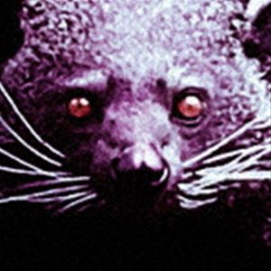 バラナンブ フカク ハナヲミテCD発売日2022/12/14詳しい納期他、ご注文時はご利用案内・返品のページをご確認くださいジャンル邦楽ロック/ソウル　アーティストバラナンブ収録時間59分50秒組枚数1商品説明バラナンブ / 深く、花を見て...