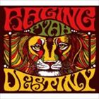 �쥤���󥰡��ե����� / DESTINY [CD]