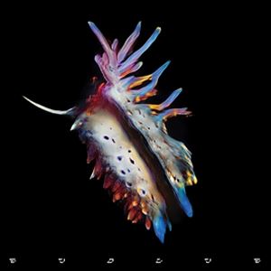 Artist Name: O - 輸入盤 SUB FOCUS / EVOLVE [CD]