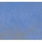 不失者 / まぶしい いたずらな祈り [CD]