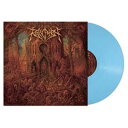 A REVOCATION / NETHERHEAVEN iCOLOREDj [LP]