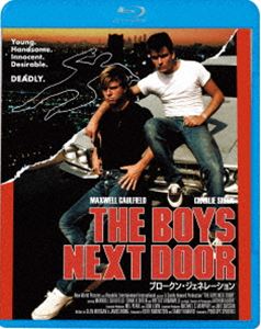 ブロークン・ジェネレーション [Blu-ray]