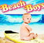 һ / Beach Boys [CD]