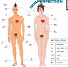 SHURIKEN / NONPERFECTION [CD]