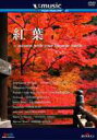 V-music 07『紅葉～autumn with your favorite music～』(DVD) ◆20%OFF！