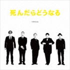 stillichimiya / ɤʤ [CD]
