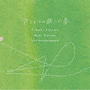 渋谷毅&仲野麻紀(p、vo/as、metal-clarinet、kalimba、fx、vo) / アマドコロ摘んだ春 Live at World Jazz Mu...