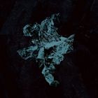 Artist Name: W - 輸入盤 YOUNG ECHO / NEXUS [CD]