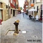 THERE SHE GOES / Are you inspriedd? [CD]