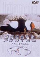 世界海中図鑑 西表島／小笠原諸島 ◆20%OFF！