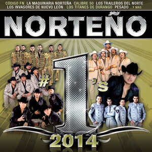 輸入盤 VARIOUS / NORTENO ＃1’S 2014 [CD]