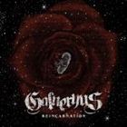 Galneryus / REINCARNATION（リインカーネーション） [CD]