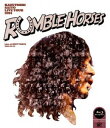 斉藤和義/KAZUYOSHI SAITO LIVE TOUR 2014 RUMBLE HORSES Live at ZEPP TOKYO 2014.12.12(...