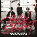 WANDS / BURN THE SECRET（通常盤） CD