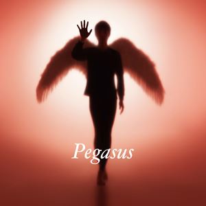  / Pegasusʽס [CD]