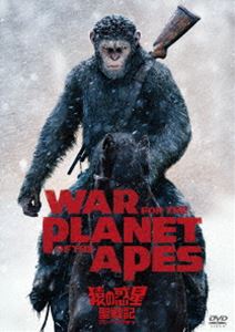 ������������ﵭ�ʥ��졼�ȡ��������� [DVD]