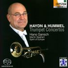 ハンス・ガンシュ／マルティン・ジークハルト／スピリット・オヴ・ヨーロッパ / ハイドン＆フンメル ト..