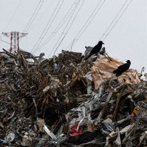 뤰벦񡡳ŷԾŹ㤨computer fight / suburban blues [CD]פβǤʤ2,200ߤˤʤޤ