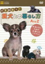 DVD発売日2007/2/22詳しい納期他、ご注文時はご利用案内・返品のページをご確認くださいジャンル趣味・教養動物　監督出演収録時間60分組枚数1商品説明犬を飼おう!愛犬との暮らし方 AtoZペットプランナー大島良子さんによる、愛犬との暮らし方のHOW TO DVDが登場。犬を飼う前や家族に迎え入れた時に知っておきたい情報をあますことなく収録した作品。商品スペック 種別 DVD JAN 4582298070126 カラー カラー 製作年 2007 製作国 日本 音声 日本語DD（ステレオ）　　　 販売元 シンフォレスト登録日2006/12/28