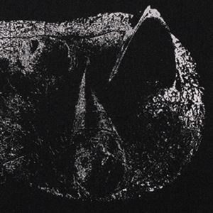 VISCERACD発売日2021/3/26詳しい納期他、ご注文時はご利用案内・返品のページをご確認くださいジャンル洋楽ハードロック/ヘヴィメタル　アーティストデーモン・ヘッドDEMON HEAD収録時間組枚数商品説明DEMON HEAD / VISCERAデーモン・ヘッド / ヴィセラ収録内容1. Tooth And Nail2. The Feline Smile3. Arrows4. Magical Death5. The Lupine Choir6. A Long Groaning Descent7. In Adamantine Chains8. Black Torches9. Wreath10. The Triumphal Chariot Of Antimony関連キーワードデーモン・ヘッド DEMON HEAD 商品スペック 種別 CD 【輸入盤】 JAN 0039841574128登録日2021/01/22