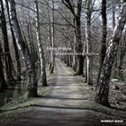 ルーメ ロバッグ ワップデックミッシュマンプフロウCD発売日2011/1/19詳しい納期他、ご注文時はご利用案内・返品のページをご確認くださいジャンル洋楽クラブ/テクノ　アーティストロバッグ・ルーメ収録時間組枚数1商品説明ロバッグ・ルーメ / ワップデックミッシュマンプフロウワップデックミッシュマンプフロウ輸入盤国内仕様※こちらの商品はインディーズ盤にて流通量が少なく、手配できなくなる事がございます。欠品の場合は分かり次第ご連絡致しますので、予めご了承下さい。関連キーワードロバッグ・ルーメ KOMPAKT、OCTAVE-LAB 商品スペック 種別 CD JAN 4526180037132 製作年 2010 販売元 ウルトラ・ヴァイヴ登録日2010/12/02