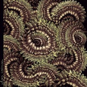 CLAN CAIMAN / PICA-PAU [CD]