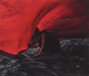 Aimer / Brave Shine（通常盤） [CD]