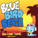 BLUE BIRD BEACH / BIG LOVE SONG `BBB COVERS` [CD]