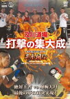 及川道場 打撃の集大成 -SHOOTaisei- 12・23及川知浩引退イベント 完全相伝 [DVD]