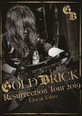 GOLDBRICK／Akira Kajiyama 怒りのギター炸裂 伝説のライヴ 〜Resurrection Tour 2019〜 [DVD]