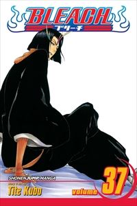 Bleach Vol.37／BLEACH 37巻