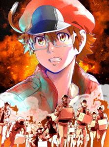 �Ϥ��餯��˦BLACK 1�ʴ������������ǡ� [DVD]