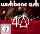 輸入盤 WISHBONE ASH / LIVE IN LONDON CD