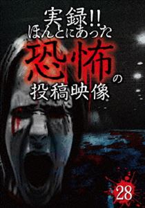 実録!!ほんとにあった恐怖の投稿映像 28 [DVD]