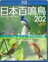 シンフォレストBlu-ray 日本百鳴鳥 202 HD ハイビジョン映像と鳴き声で愉しむ野鳥図鑑 [Blu-ray]