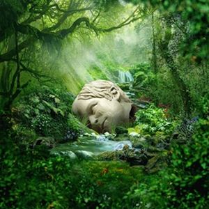 ͢���� WEEZER / SZNZ�� SPRING [LP]