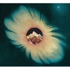 ティーン・デイズ / ア・サイレント・プラネット [CD]