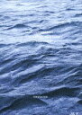 サカナクション/SAKANAQUARIUM2017 10th ANNIVERSARY Arena Session 6.1ch Sound Around(通常盤)...
