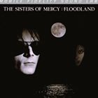 楽天ぐるぐる王国　楽天市場店輸入盤 SISTERS OF MERCY / FLOODLAND [LP]