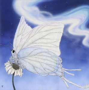 藤岡麻美 / 心守唄～Aromami Days～ [CD]