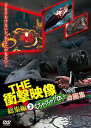 THE 衝撃映像 総集編2 むちゃくちゃグロい 動画集 DVD