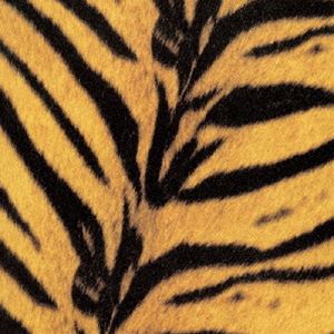 【特典付】↑THE HIGH-LOWS↓ / Tigermobile（限定盤） (初回仕様) レコード 12inch