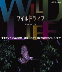 Blu-ray発売日2013/6/21詳しい納期他、ご注文時はご利用案内・返品のページをご確認くださいジャンル国内TVドキュメンタリー　監督出演収録時間59分組枚数1商品説明ワイルドライフ 東南アジア ボルネオ 華麗!巧妙! 鳥たちの空中ハンティングNHKの技術力・取材力の粋を集めた本格自然番組がブルーレイで発売!大自然の絶景、躍動する命の世界を、豊かな映像で記録しつづけ、骨太の自然番組として親しまれている。第5弾の「飛行生物の謎編」から、ハイスピードカメラを駆使して決定的な狩りの様子をとらえた「東南アジア ボルネオ 華麗!巧妙! 鳥たちの空中ハンティング」を収録。封入特典解説リーフレット（長沼毅氏＜広島大学准教授、地球の辺境を放浪する科学者＞の特別寄稿／ディレクターのフィールドリポート ほか）特典映像スペクタクル映像集（BGV）／予告集関連商品NHKドキュメンタリーワイルドライフ商品スペック 種別 Blu-ray JAN 4988066193224 カラー カラー 製作年 2012 製作国 日本 字幕 日本語 音声 日本語リニアPCM（ステレオ）　　　 販売元 NHKエンタープライズ登録日2013/04/01