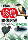 DVD発売日2009/8/27詳しい納期他、ご注文時はご利用案内・返品のページをご確認くださいジャンル趣味・教養動物　監督出演収録時間190分組枚数1商品説明日本の珍鳥 映像図鑑 野鳥たちとの奇跡の遭遇一生に一度逢えるかどうかも分からない、まさに“逢えたら奇跡”の珍しい鳥たちを一緒に収録した史上初の珍鳥映像図鑑。1995年頃から10年以上に渡り、国内外の様々な珍鳥たちを収めた作品。商品スペック 種別 DVD JAN 4945977201226 カラー カラー 製作年 2009 製作国 日本 字幕 日本語 音声 DD（ステレオ）　　　 販売元 シンフォレスト登録日2009/06/09